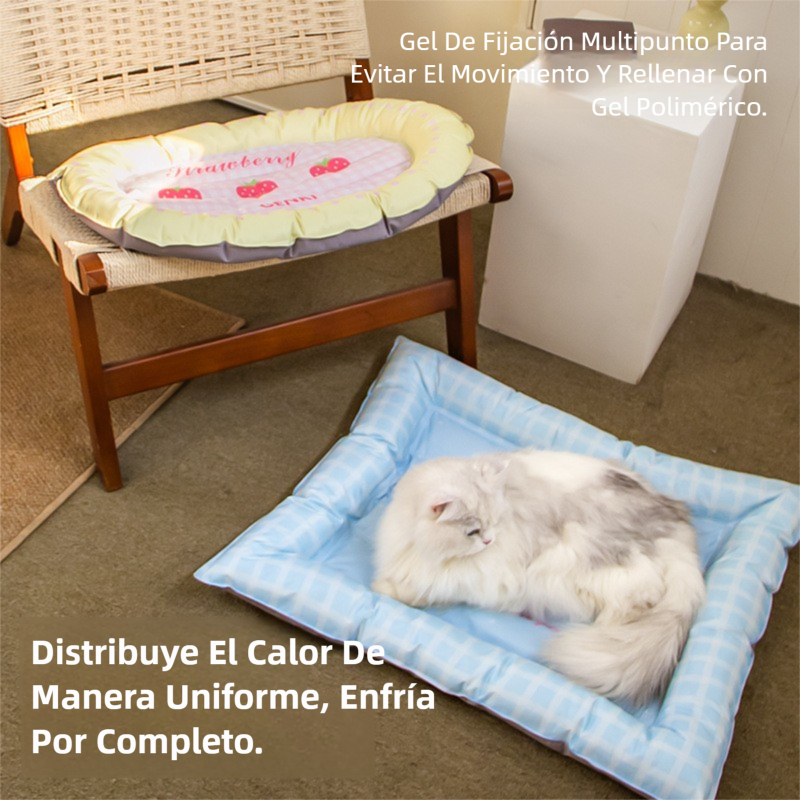c00f4b9f-f817-4ae7-8b0d-0fe784ad971d
