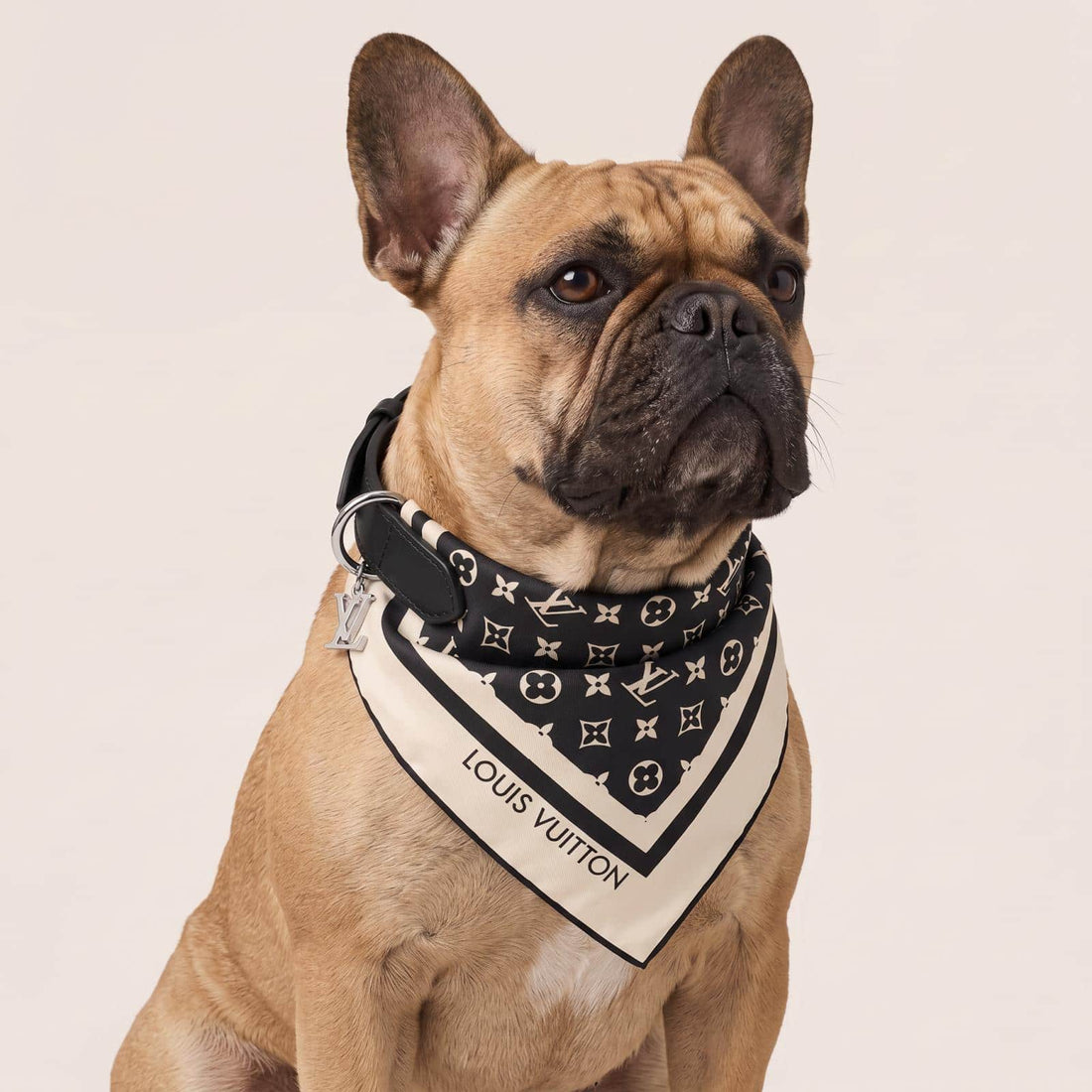 Collar con bandana de cuero y seda – personalizado para tu mascota