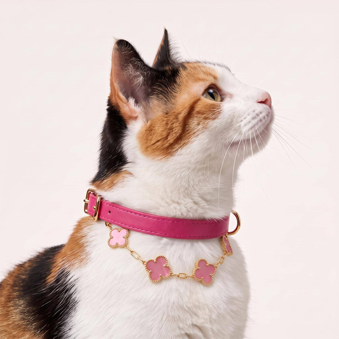Collar de cuero con joyería y nombre bordado para mascotas