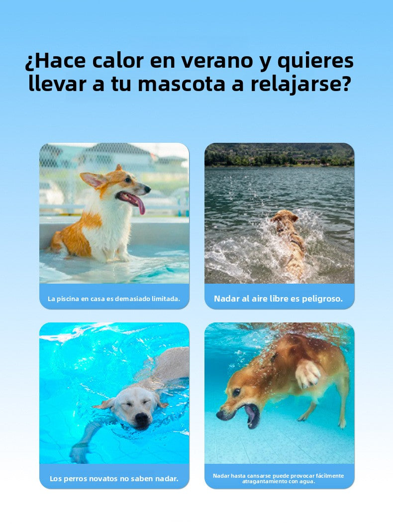 6d8c948b-8c92-4fef-8bb6-f3389bbcf5c6