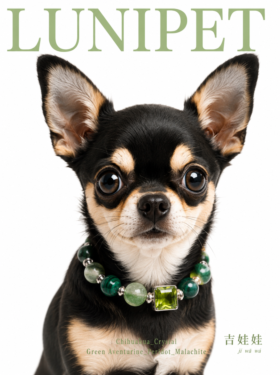 Collar de Cristal Natural para Mascotas – Cuero y Cristales