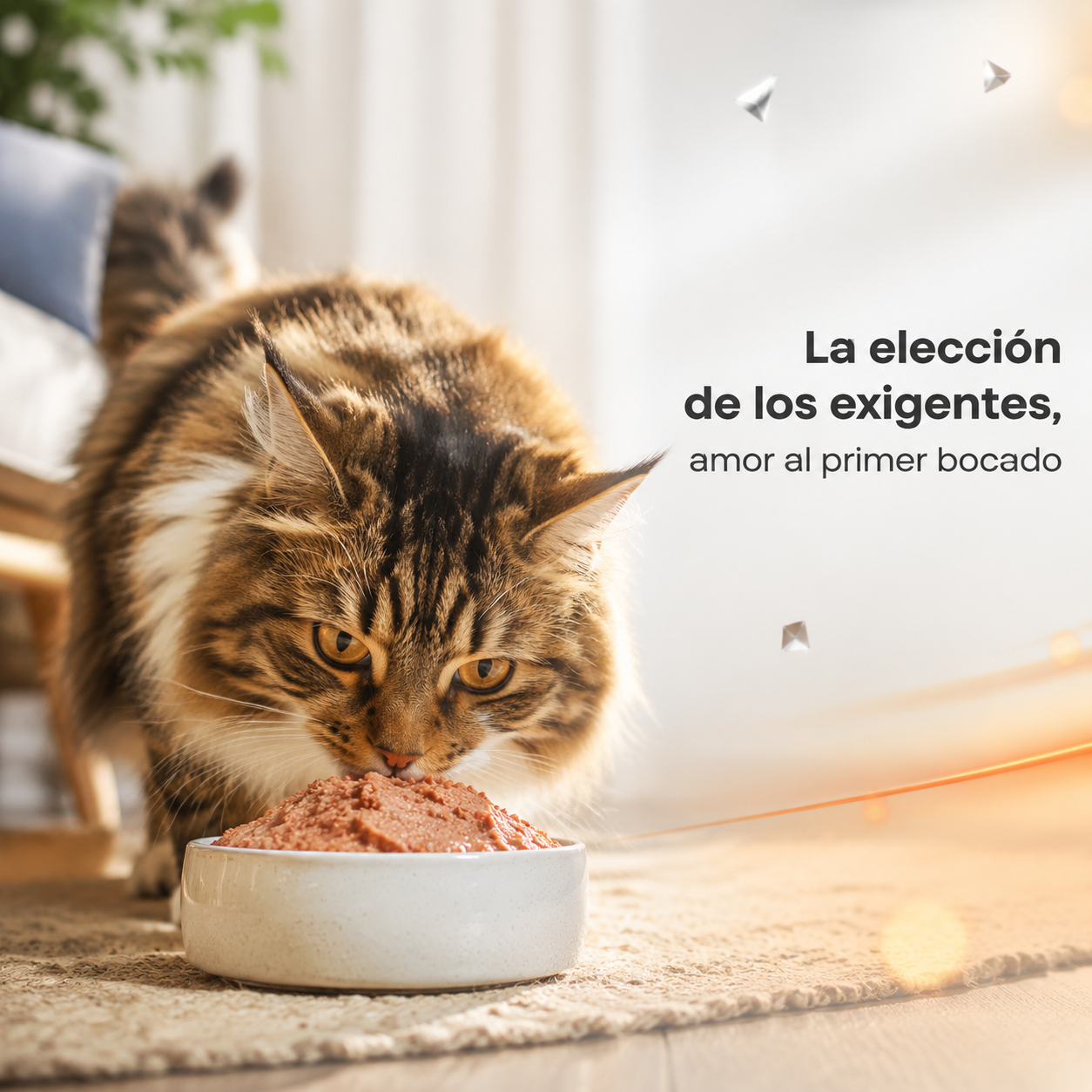 Paté Maxi Cat Sabor Pollo – Alimento Húmedo para Gatos, Textura Suave y Cremosa, Comida Completa y Balanceada para Gatos Adultos