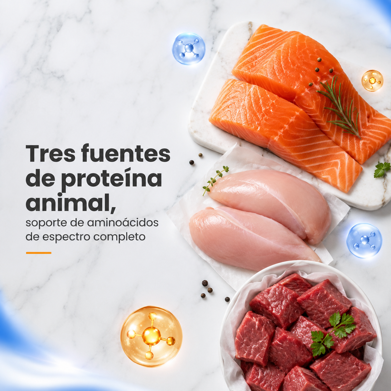 Maxi Cat Premium Alimento Balanceado para Gatos – Nutrición Completa y Equilibrada, Disponible en 500g y 1.5kg, para Gatos Adultos de Todas las Razas