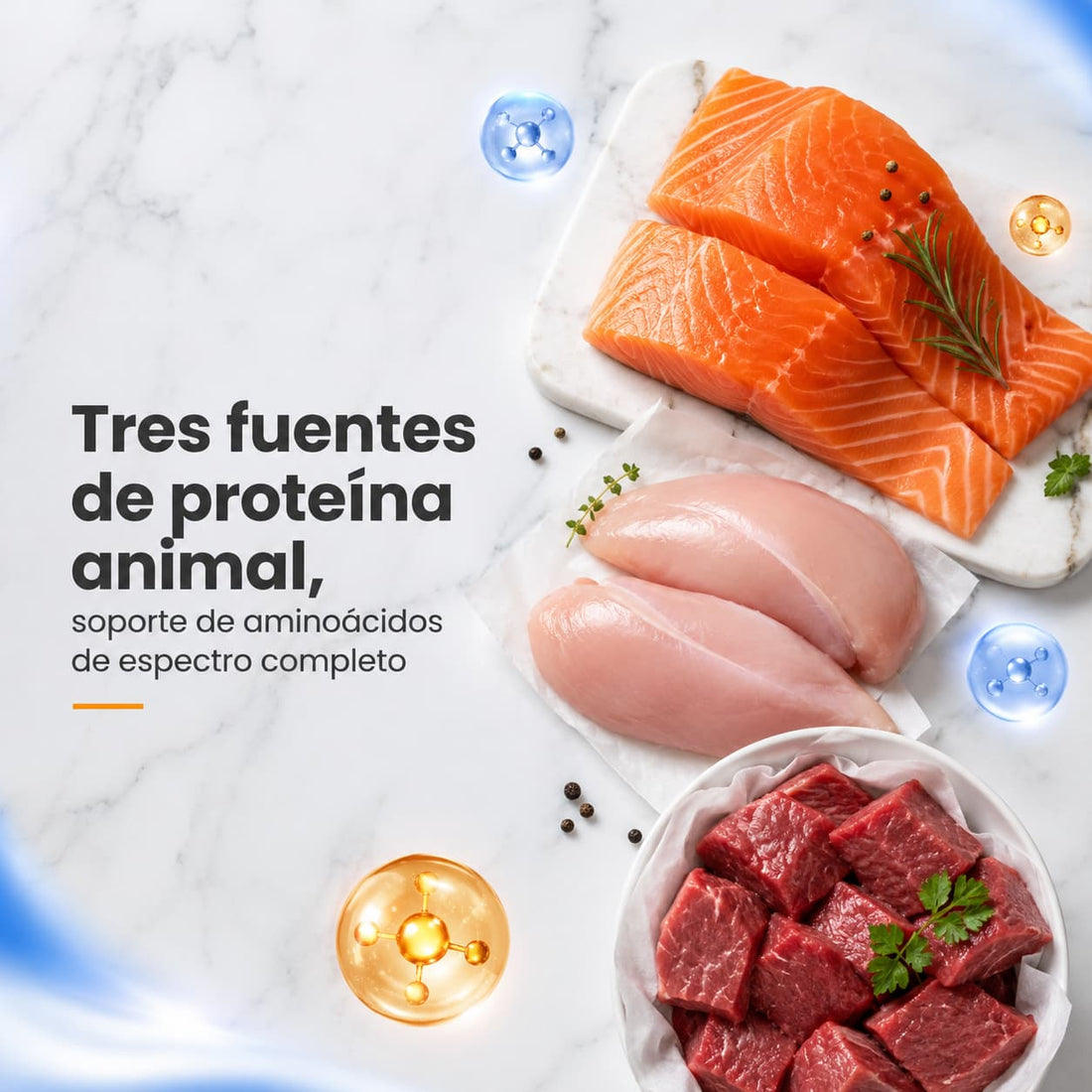 Maxi Cat Premium, alimento balanceado para gatos adultos