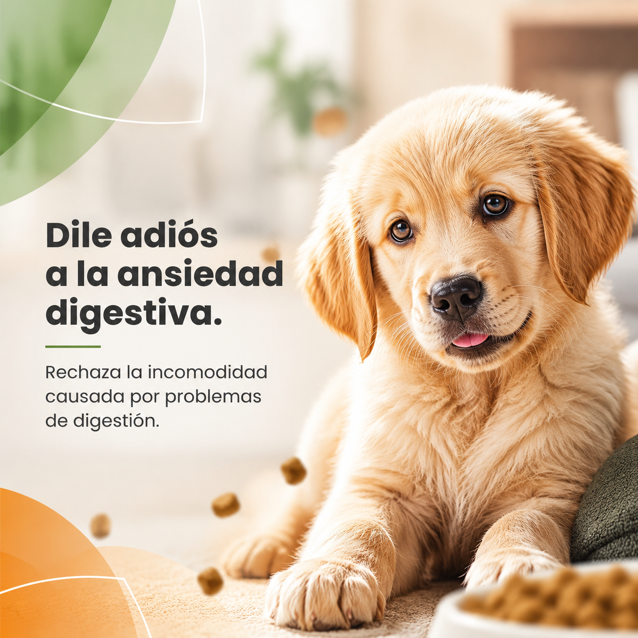 Maxi Dog Cachorro – Alimento Balanceado para Cachorros, Nutrición Completa para un Crecimiento Saludable, para Razas Pequeñas y Medianas