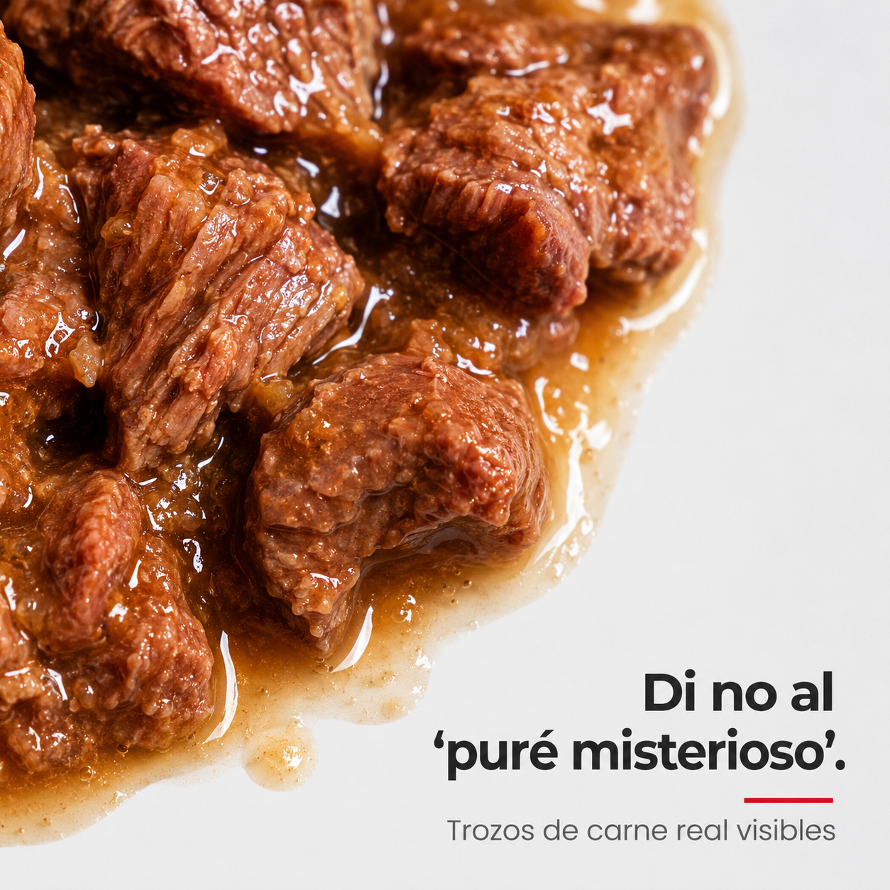 Super Perro Carne Enlatada Sabor Barbacoa – Alimento Húmedo para Perros Adultos, Trozos Tiernos en Salsa, Nutrición Completa y Balanceada