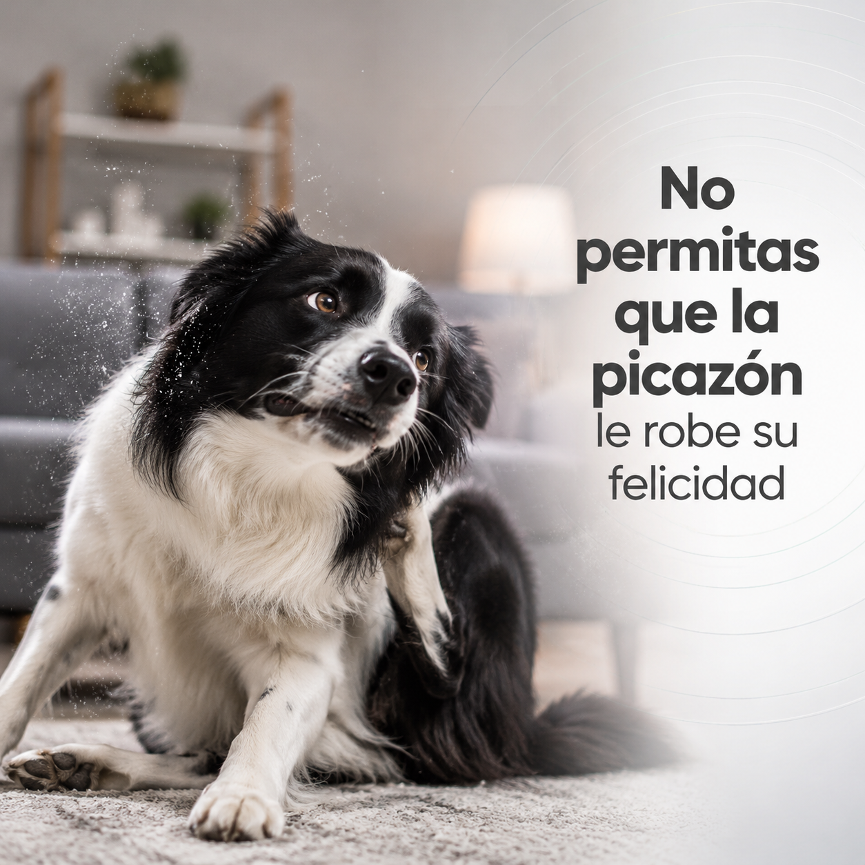 Talco Antipulgas Super Perro – Talco Pulguicida para Perros y Gatos, Elimina Pulgas y Garrapatas, Previene Reinfestaciones, Aroma Fresco