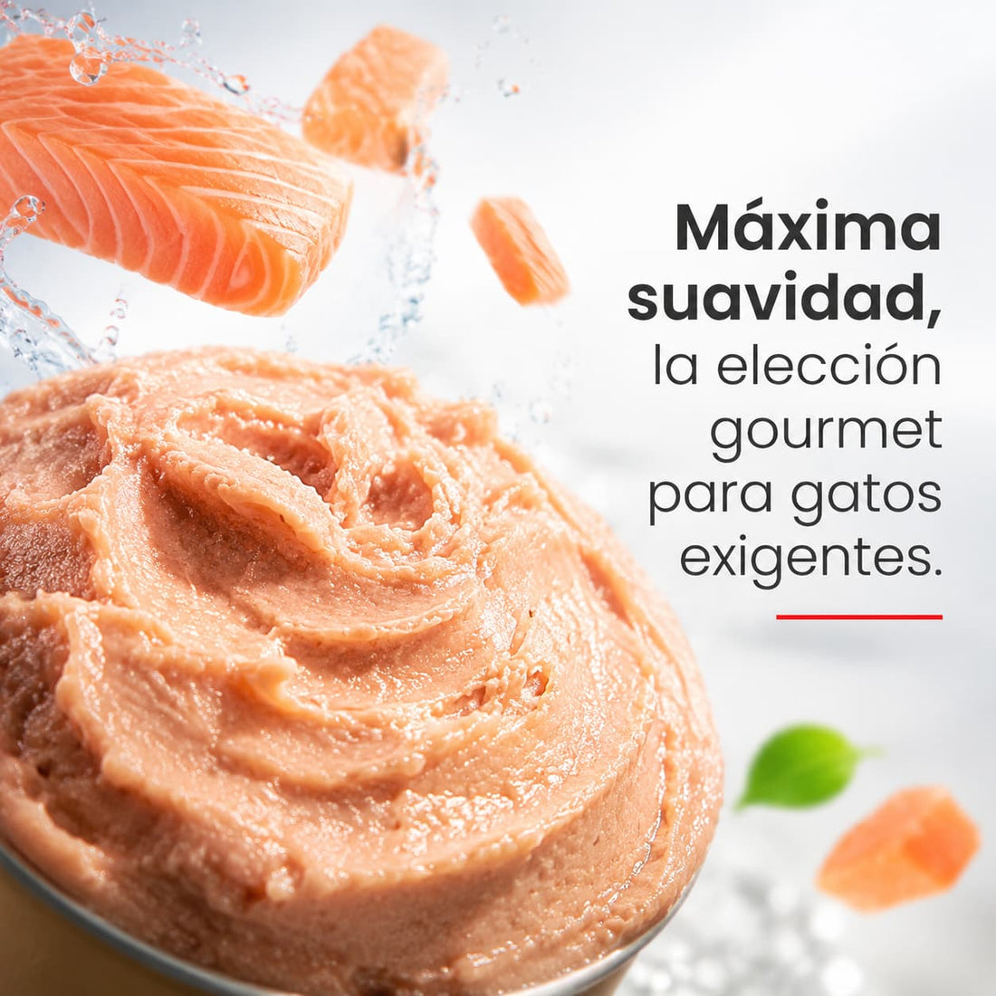 Confianza de marca en el Paté Maxi Cat sabor salmón para gatos