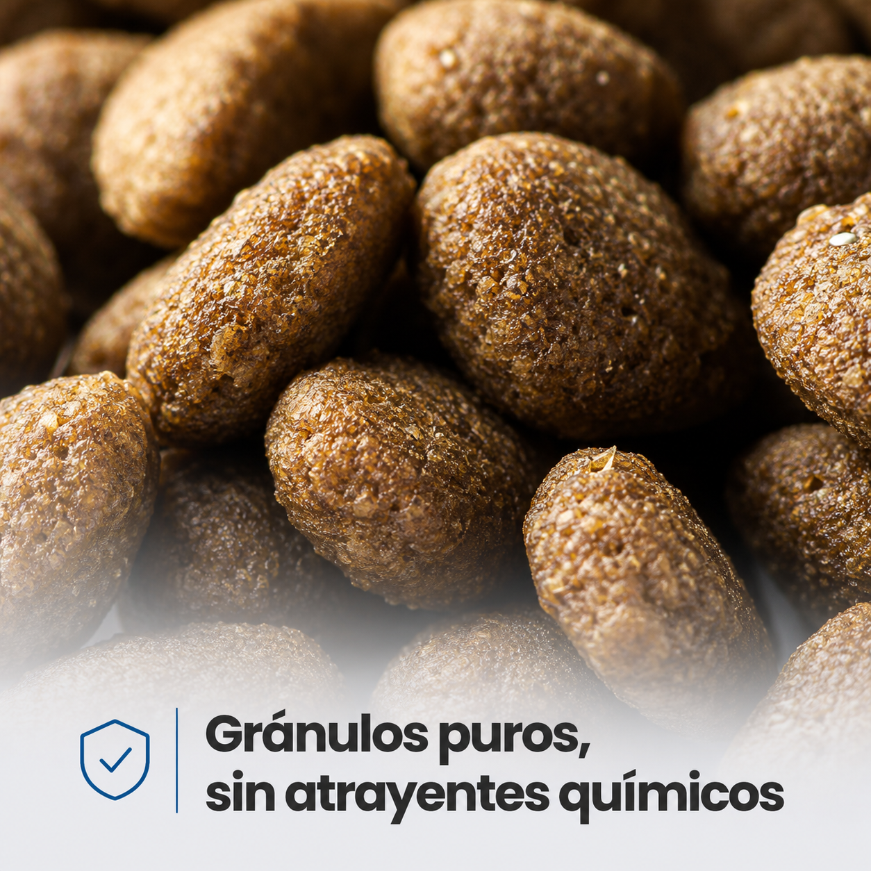 Maxi Cat Premium Alimento Balanceado para Gatos – Nutrición Completa y Equilibrada, Disponible en 500g y 1.5kg, para Gatos Adultos de Todas las Razas