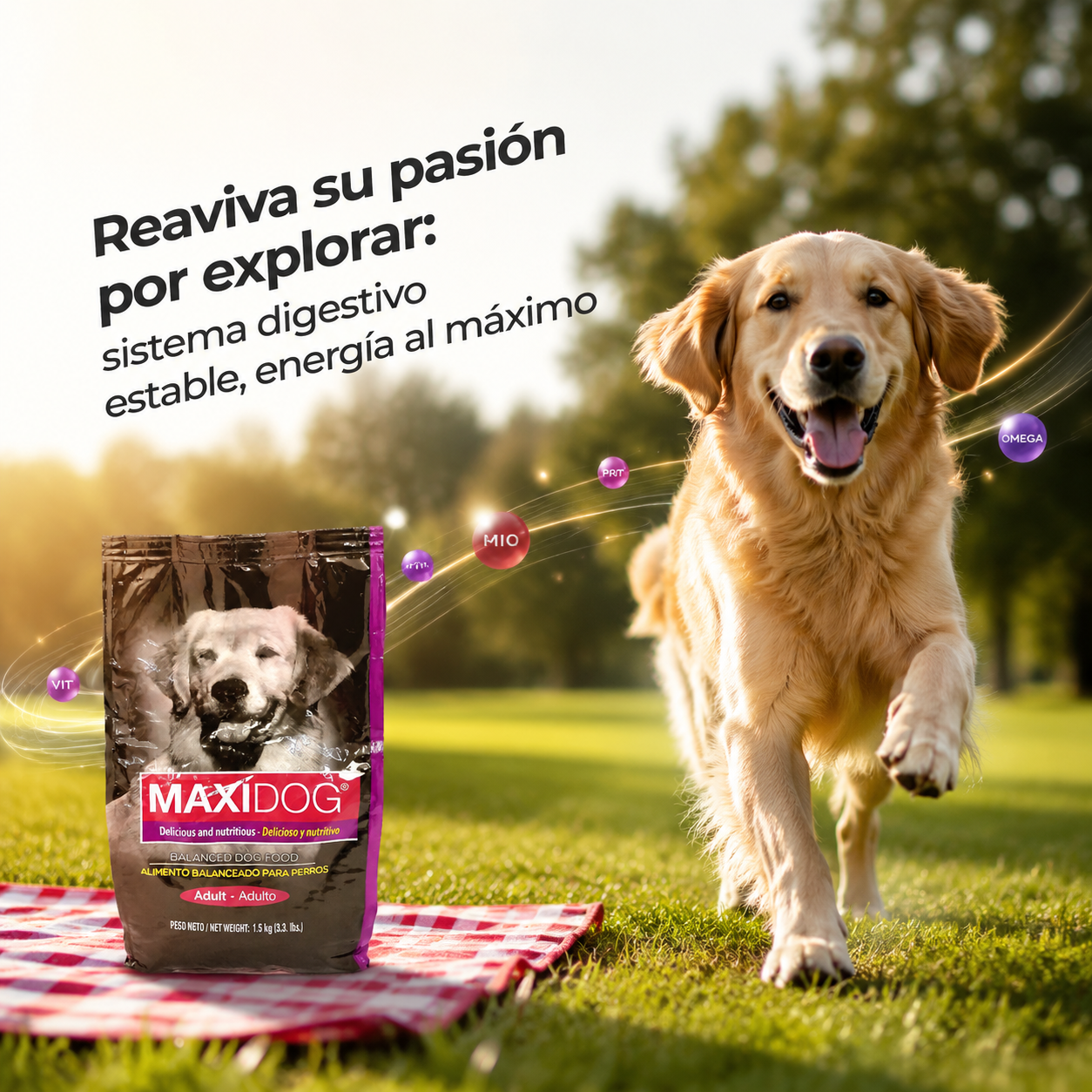 Maxi Dog Adulto – Alimento Balanceado para Perros Adultos, Nutrición Completa y Equilibrada, para Todas las Razas