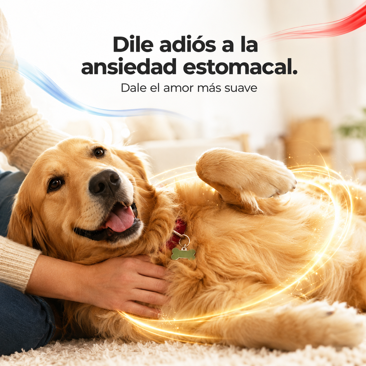 Super Perro Carne Enlatada Sabor Barbacoa – Alimento Húmedo para Perros Adultos, Trozos Tiernos en Salsa, Nutrición Completa y Balanceada