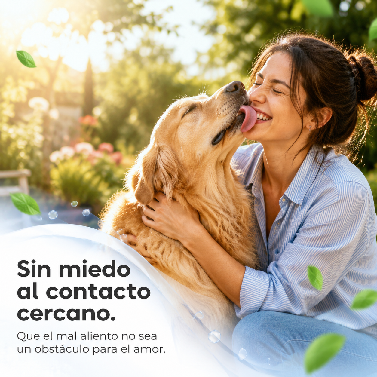 Crupis Cuidado Dental Bocadillos para Perro – Super Perro Dental Care Fresh Breath, Snacks con Textura Crujiente, Ayudan a Limpiar los Dientes y Refrescar el Aliento