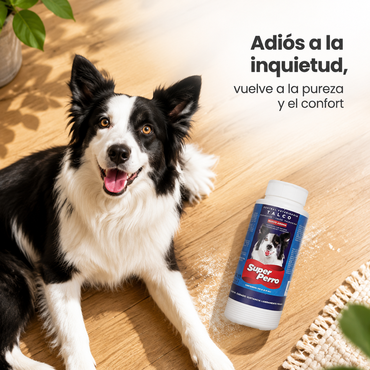 Talco Antipulgas Super Perro – Talco Pulguicida para Perros y Gatos, Elimina Pulgas y Garrapatas, Previene Reinfestaciones, Aroma Fresco