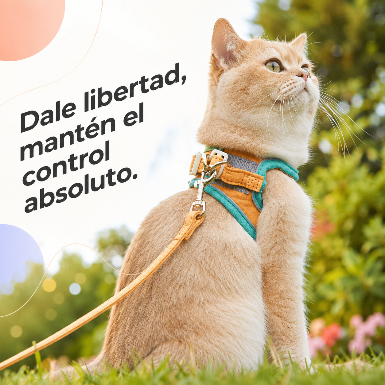 Arnés tipo chaleco para gatos con cierre de seguridad y reflectante – evita escapes, ideal para paseos y entrenamiento