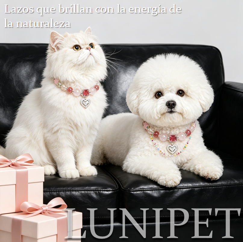 Collar Personalizado de Cristal Natural para Mascotas – Mitad Cuero, Mitad Cristales, Ligero, Sin Pellizcar el Pelo, Elige tus Piedras, Calma y Conexión