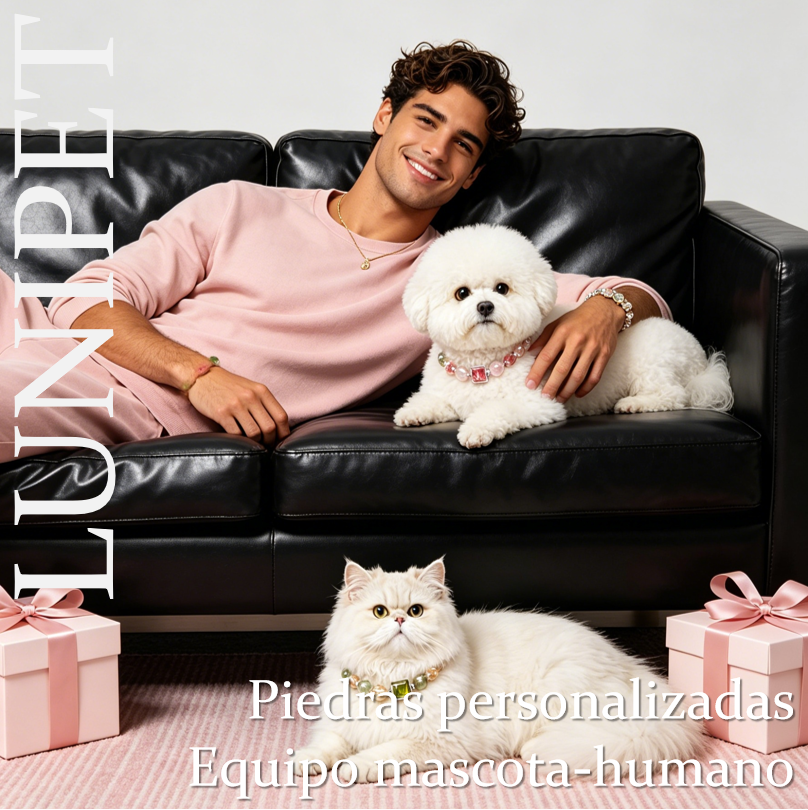 Collar Personalizado de Cristal Natural para Mascotas – Mitad Cuero, Mitad Cristales, Ligero, Sin Pellizcar el Pelo, Elige tus Piedras, Calma y Conexión