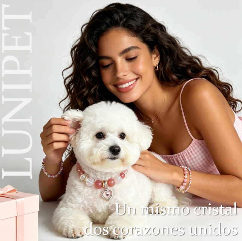 Collar Personalizado de Cristal Natural para Mascotas – Mitad Cuero, Mitad Cristales, Ligero, Sin Pellizcar el Pelo, Elige tus Piedras, Calma y Conexión