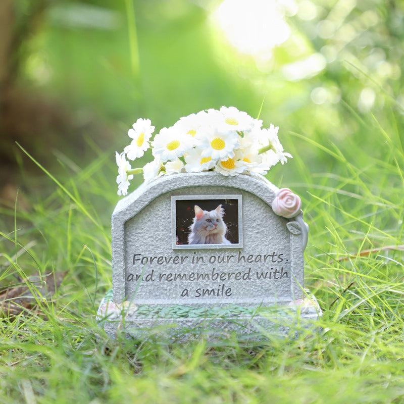 0d97547f-0e70-4aa4-a9a5-e4a9829af8bc