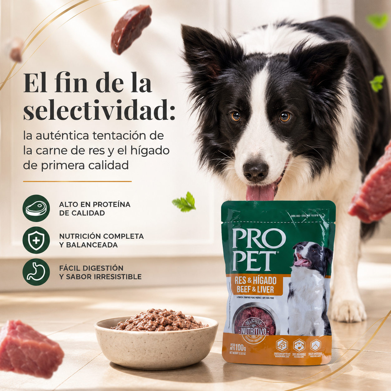 Pro Pet Alimento Húmedo para Perros – Bolsa de 100g de Res e Hígado, Receta Premium Sin Granos, Completa y Balanceada para Perros Adultos, Alto Contenido de Proteína