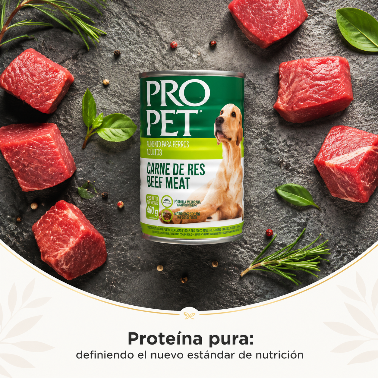 Pro Pet Alimento Húmedo para Perros – Lata de Carne de Res, Comida Premium con Proteína Real, Sabor Irresistible