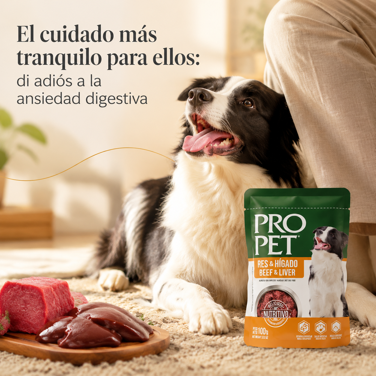 Pro Pet Alimento Húmedo para Perros – Bolsa de 100g de Res e Hígado, Receta Premium Sin Granos, Completa y Balanceada para Perros Adultos, Alto Contenido de Proteína